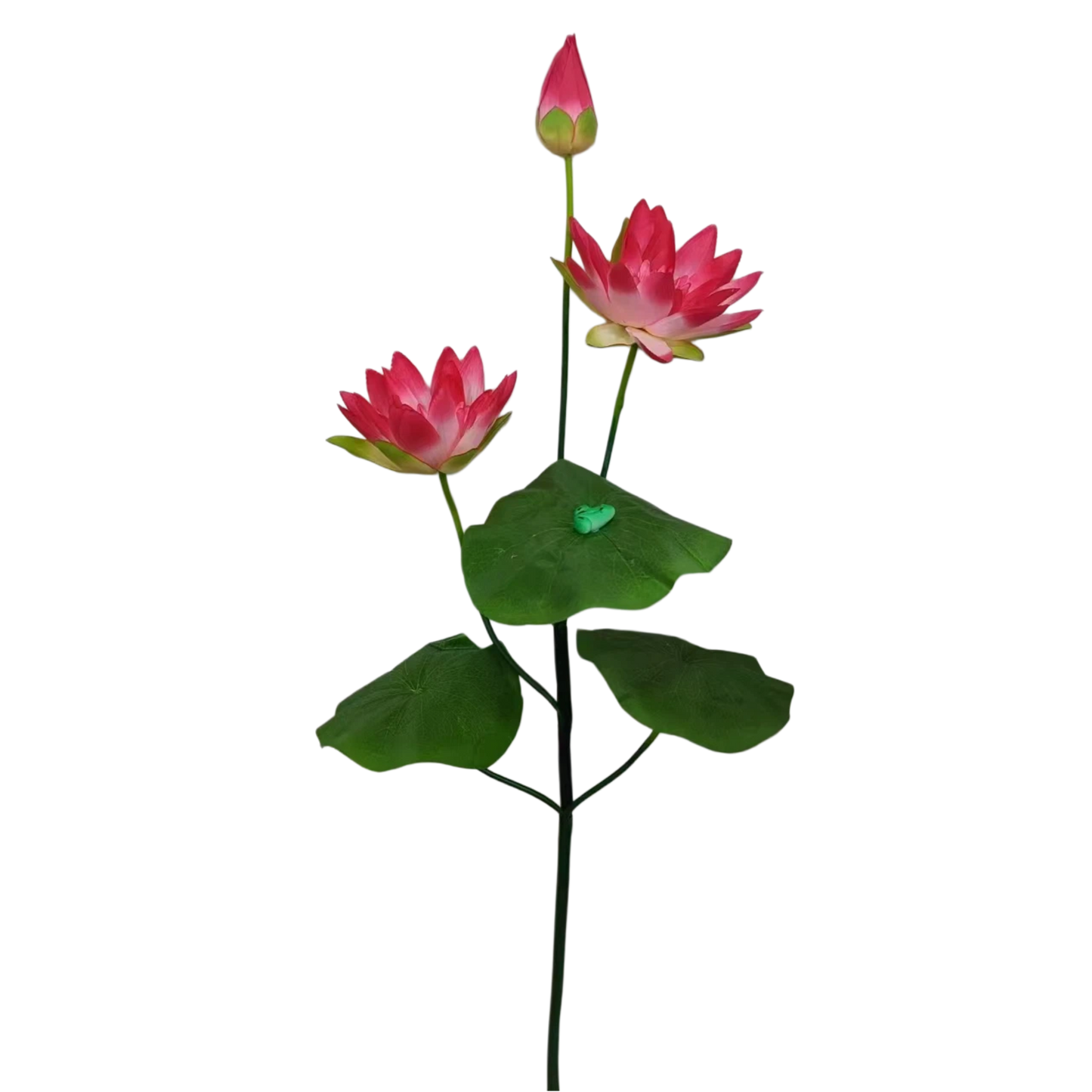 Artificial Lotus 20cm 3H 1.2m x 5 stalks
