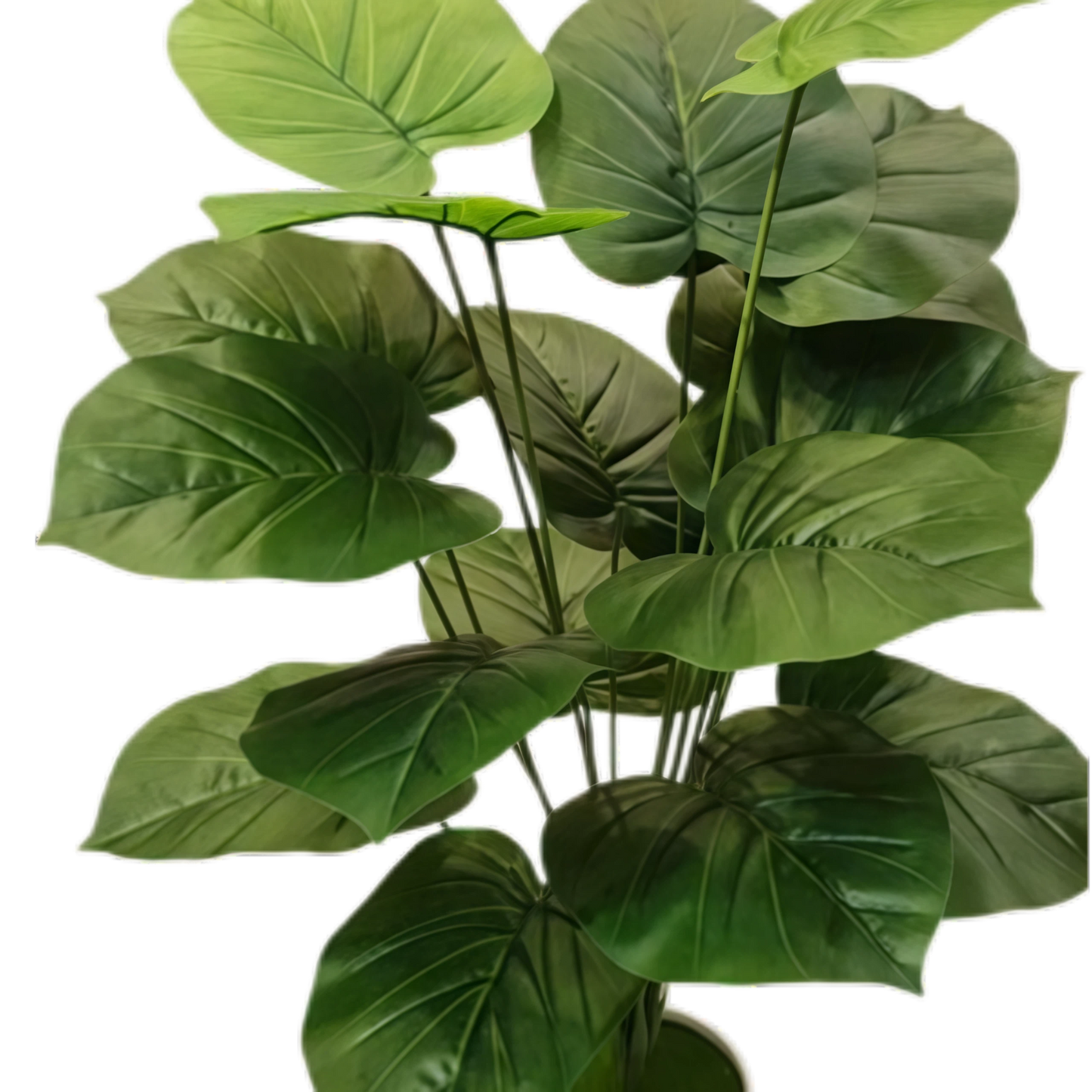 Artificial Pothos 18B 70cm x 5 bunches