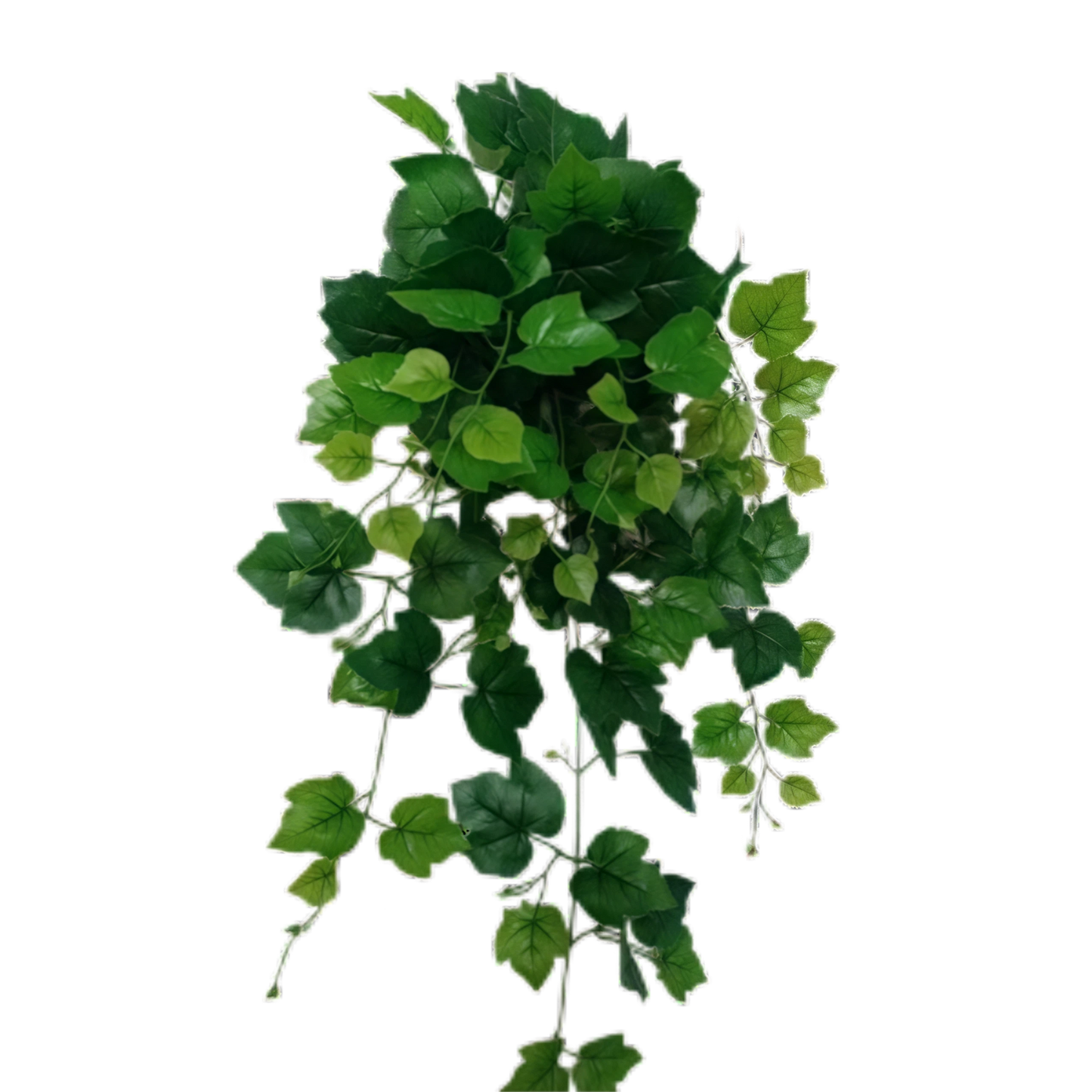 Artificial Boston Ivy Creeper 80cm x 5 bunches