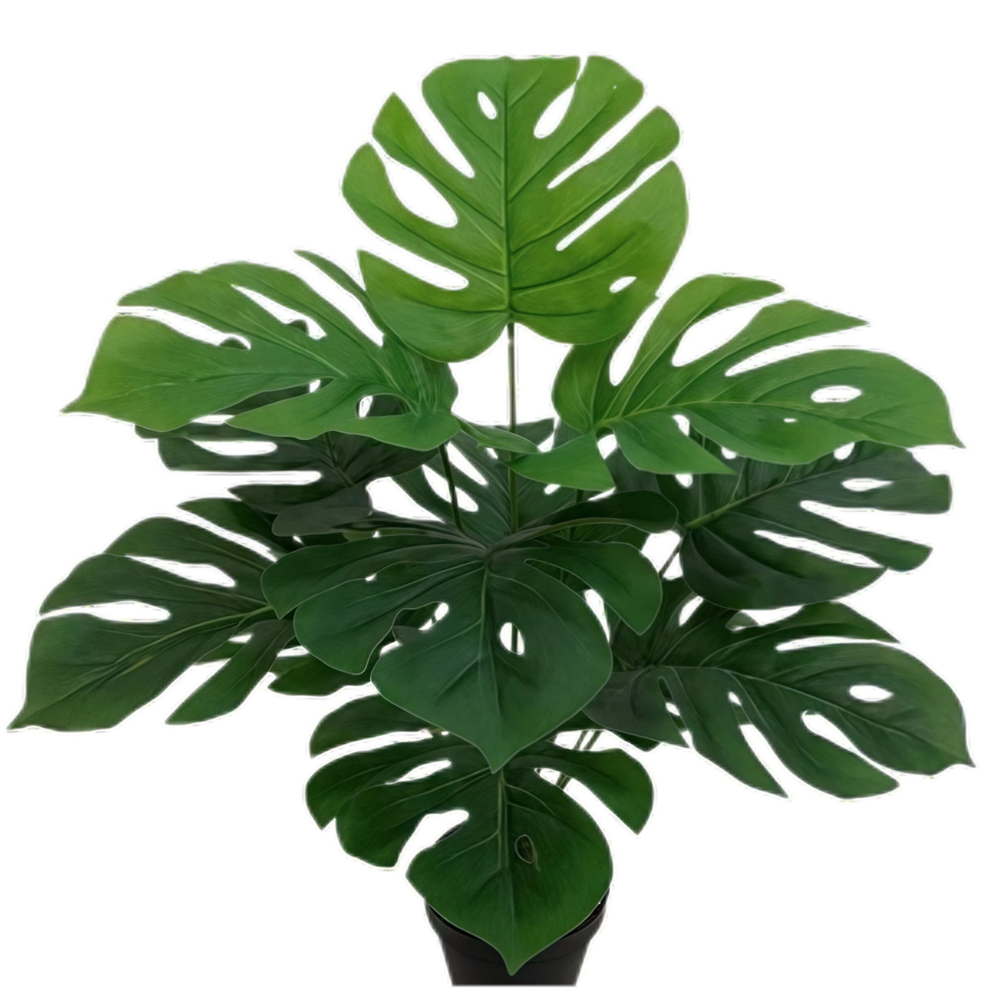 Artificial Monstera 12B Small 50cm x 5 bunches