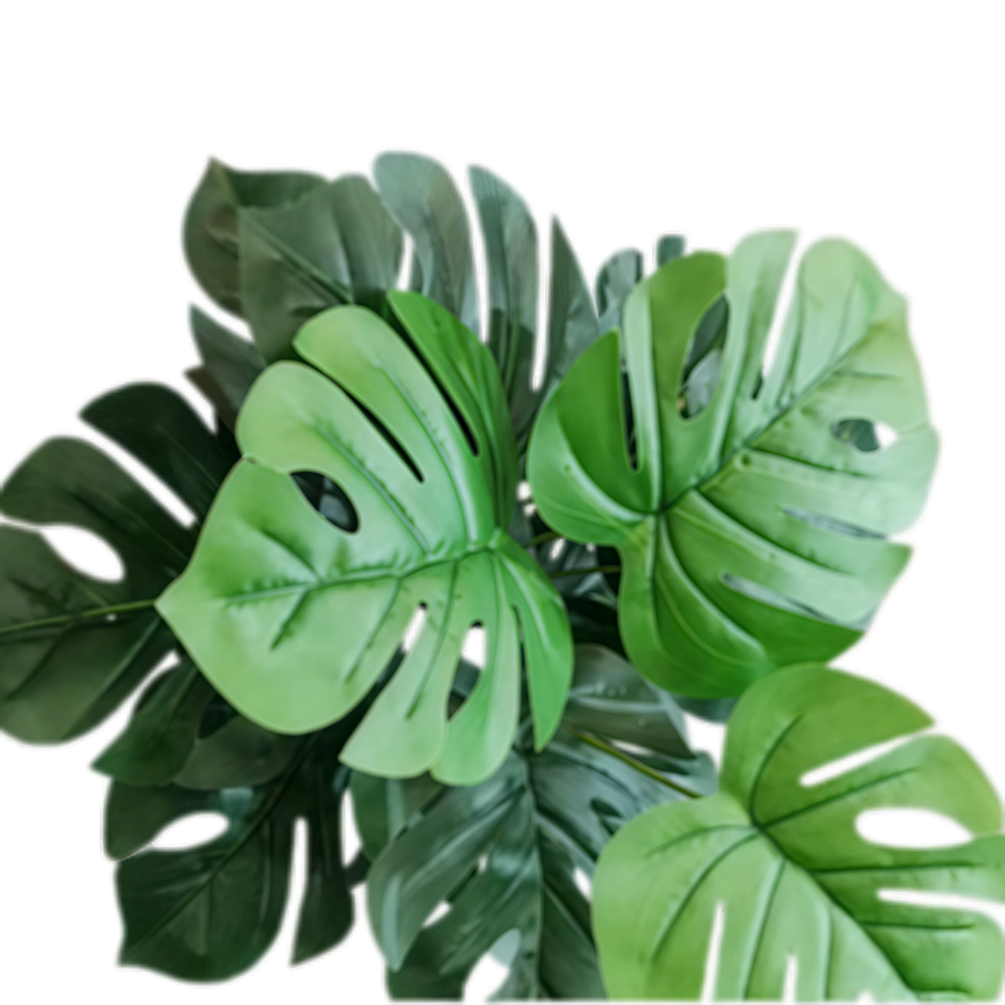 Artificial Monstera 18B Medium 70cm x 5 bunches