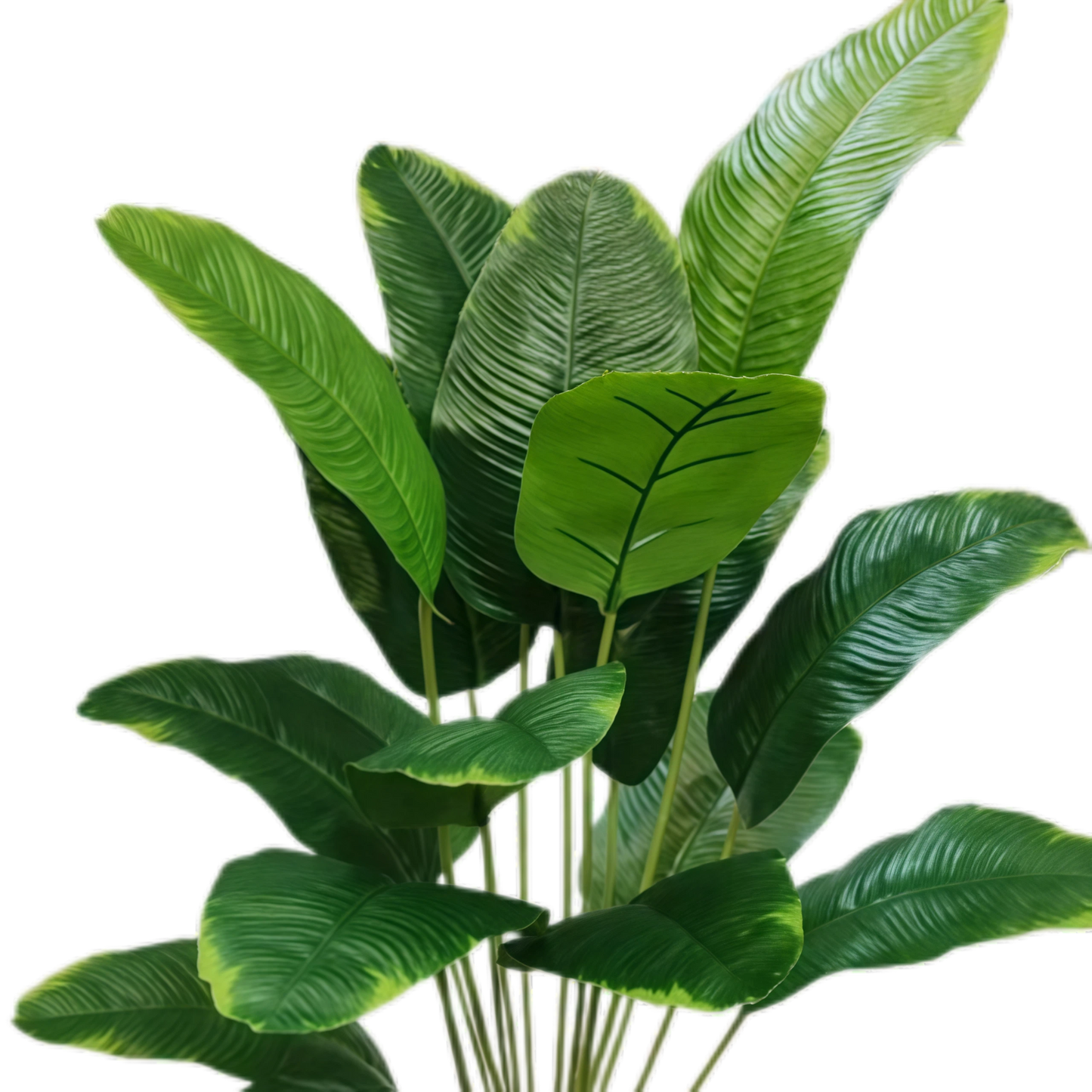 Artificial Banana Leaf 18B 70cm x 5 bunches