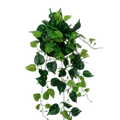 Artificial Pothos Creeper 80cm
