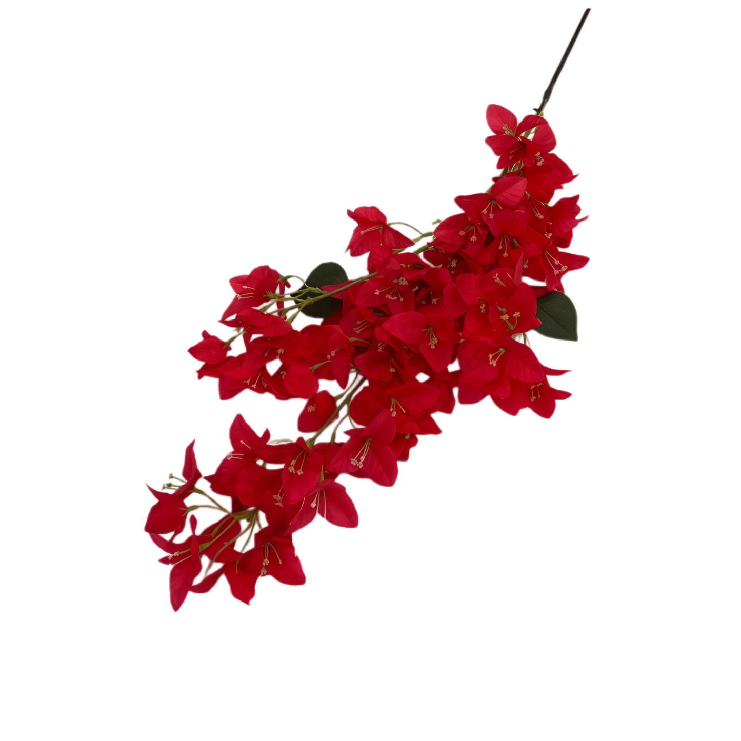 6cm Bud Artificial Bougainvillea 96H 1.1m x 5 stalks