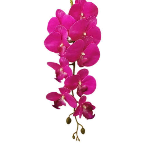 2-4cm Bud Artificial Orchid 9H 1m