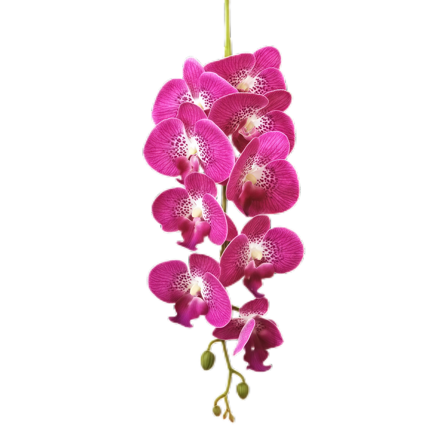 2-4cm Bud Artificial Orchid 9H 1m x 5 stalks