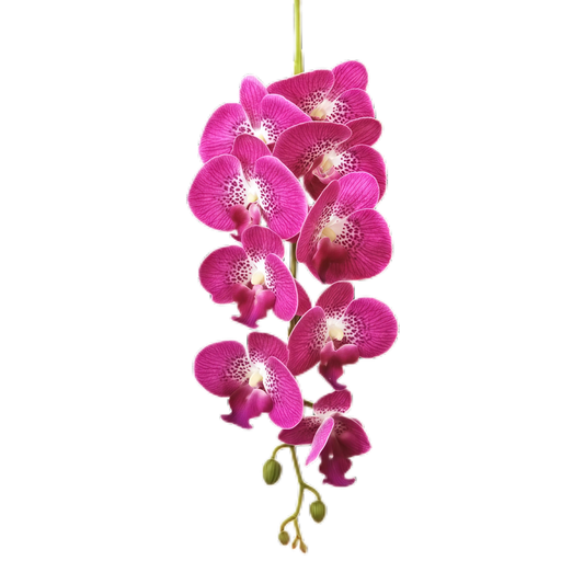 2-4cm Bud Artificial Orchid 9H 1m x 5 stalks