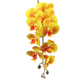 2-4cm Bud Artificial Orchid 9H 1m x 5 stalks