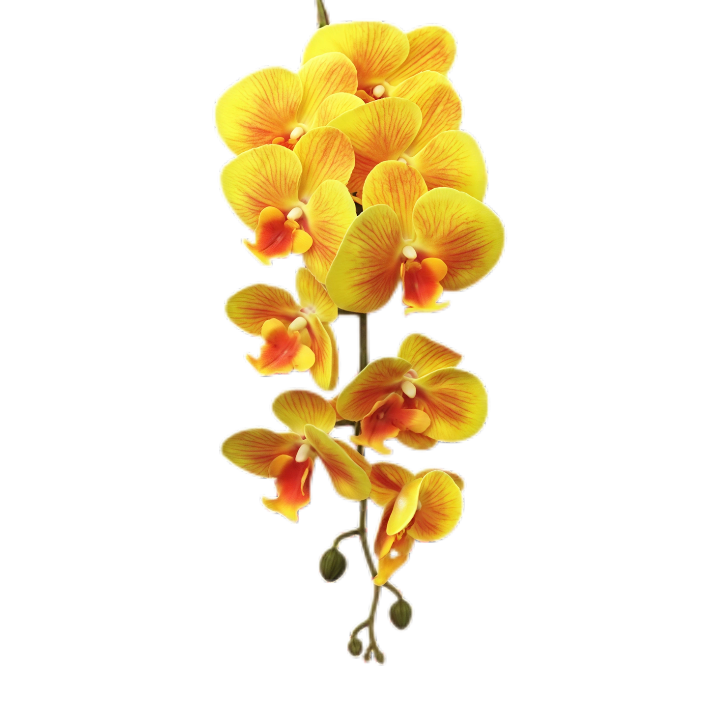 2-4cm Bud Artificial Orchid 9H 1m x 5 stalks