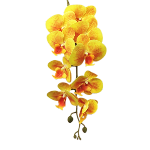 2-4cm Bud Artificial Orchid 9H 1m x 5 stalks