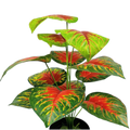 Artificial Caladium 12B 50cm