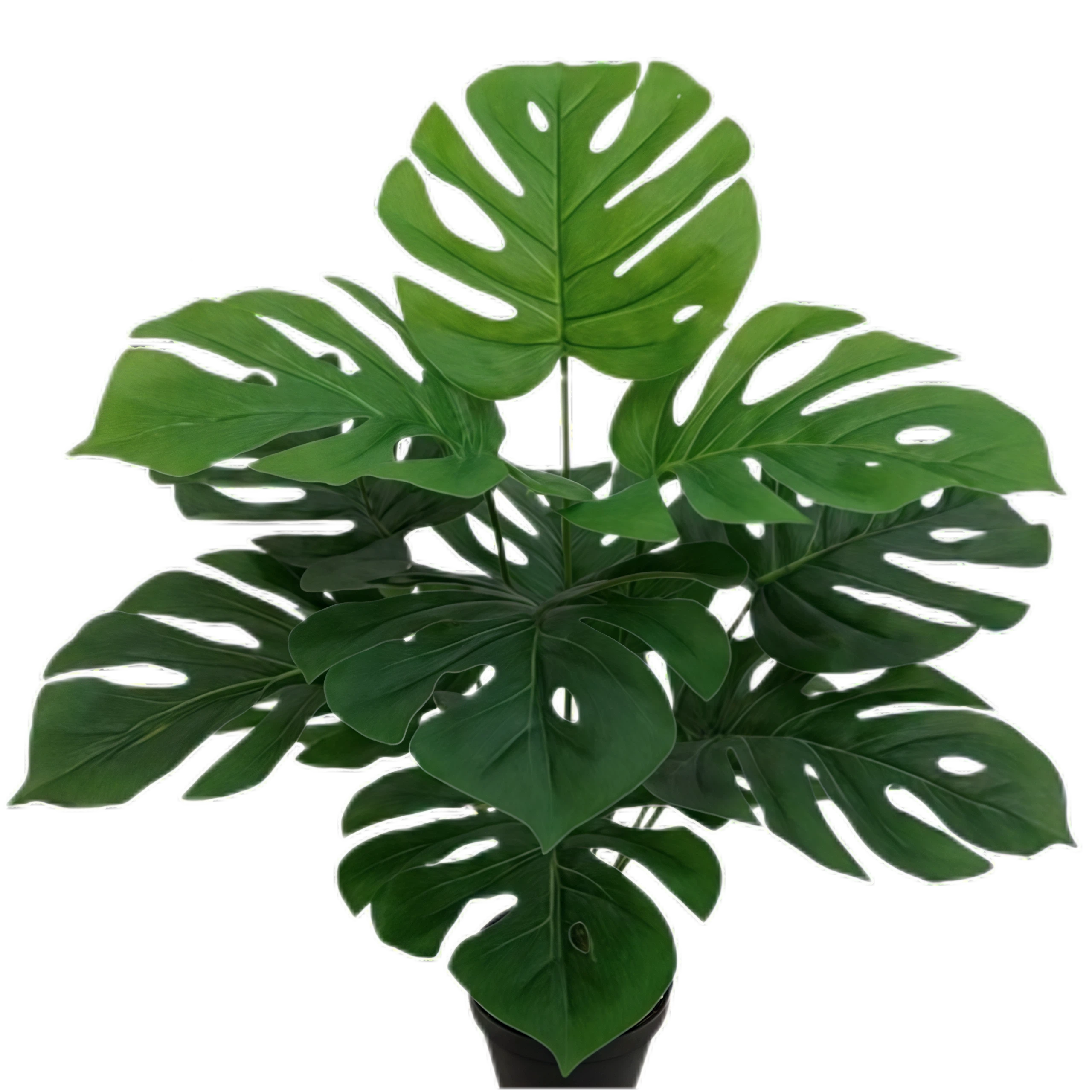 Artificial Monstera 12B Small 50cm