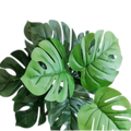 Artificial Monstera 18B Medium 70cm