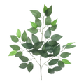 Artificial Ficus 12B 60cm