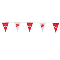 Triangle 25x35cm 20-flag Bunting Polyester 9m
