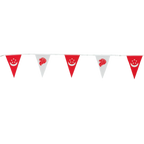 Triangle 25x35cm 20-flag Bunting Polyester 9m