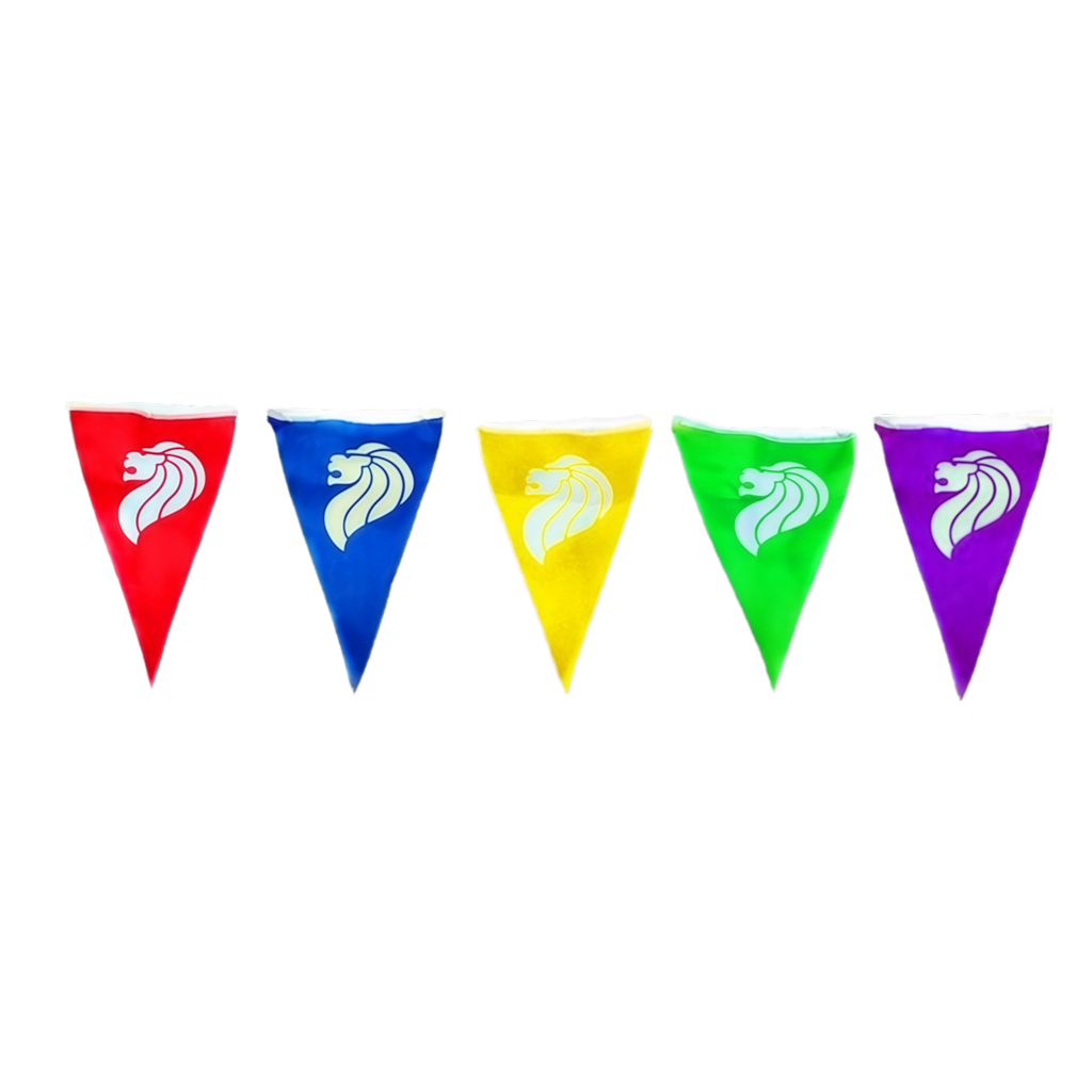 Triangle 25x35cm 20-flag Bunting Polyester 9m
