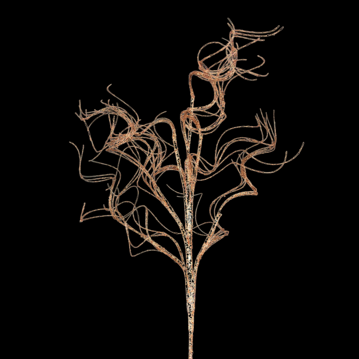 6H Glitter Curly Twig