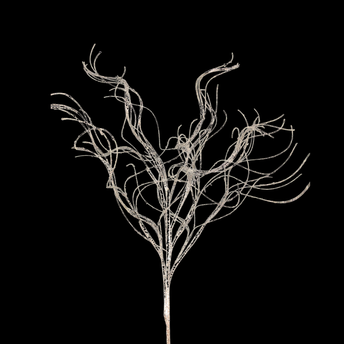 6H Glitter Curly Twig