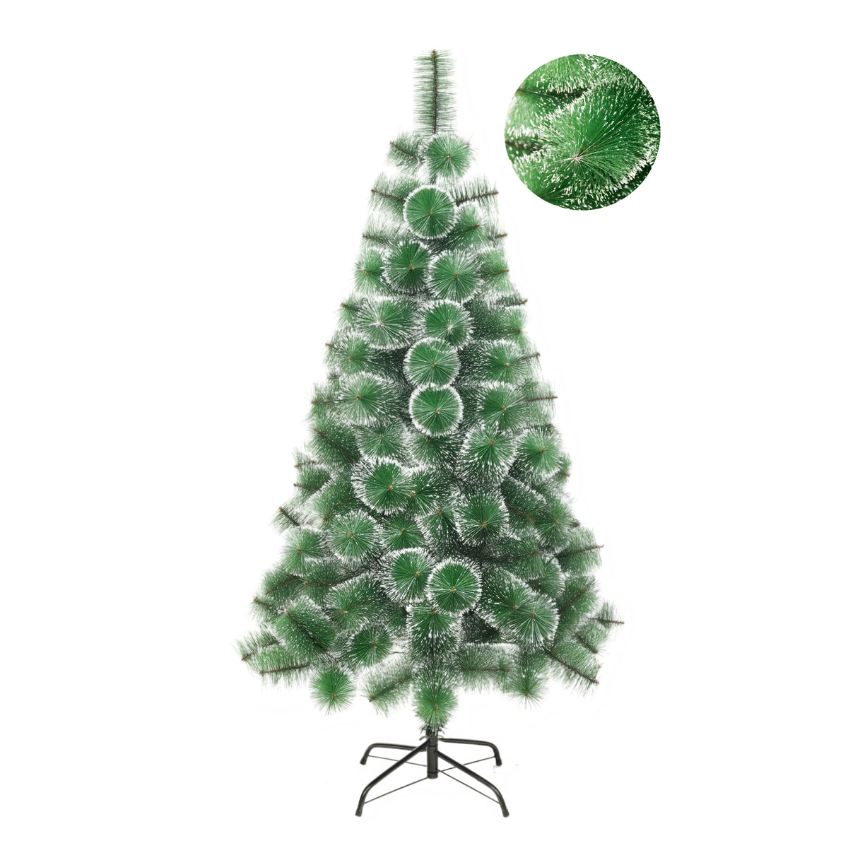 Green Pine White Tip Tree