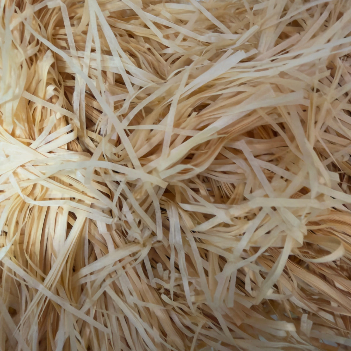 Shredded Paper 500g
